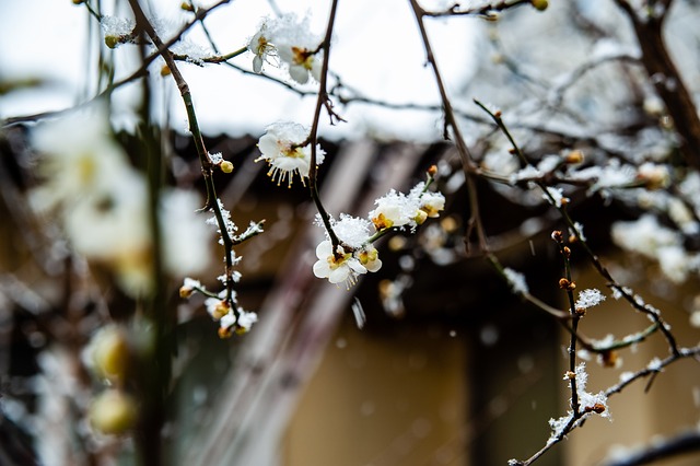 斯蒂芬