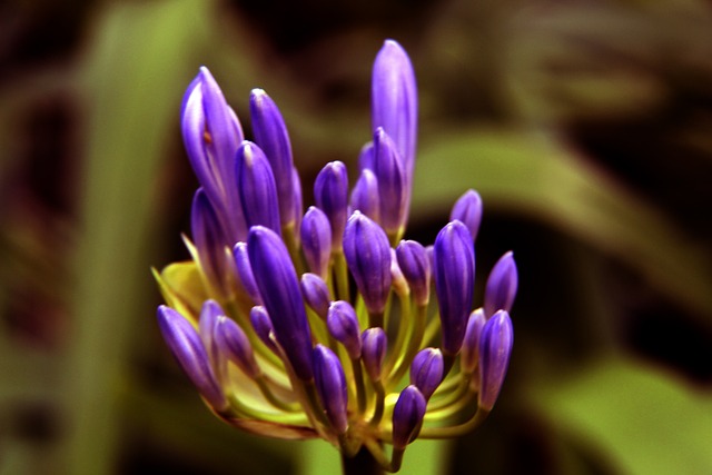 最大挑战 最大挑战