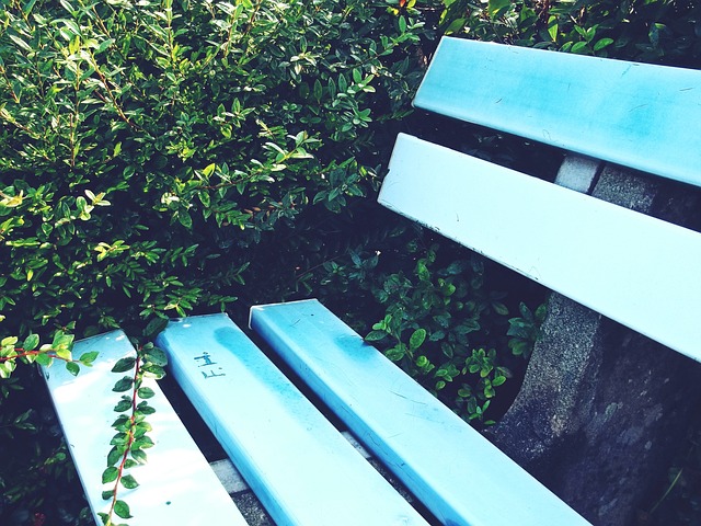 快速发展 快速发展