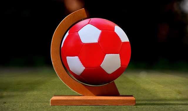 教练团队采 教练团队采