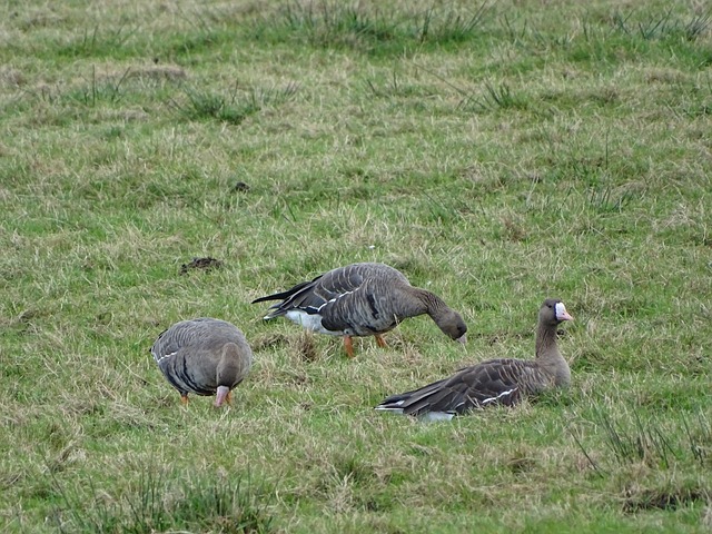 成功在比赛 成功在比赛