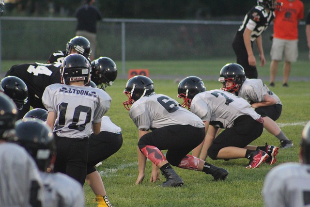 因素的作用 因素的作用