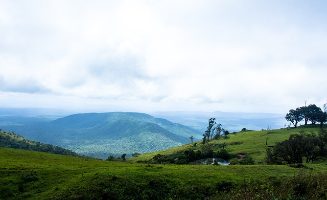 还因球队动 还因球队动