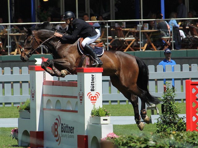 婵佩戴劳力 婵佩戴劳力