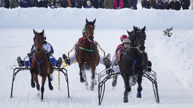 那还是别换了！若解雇滕哈格，曼联考虑用索斯盖特担当球队主帅.