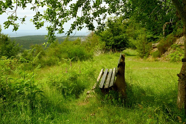 意大利大將森西因傷缺席歐洲杯.